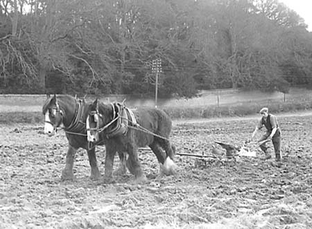 1947 Farming 01