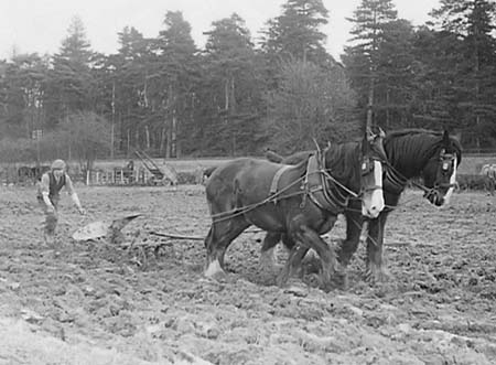 1947 Farming 03