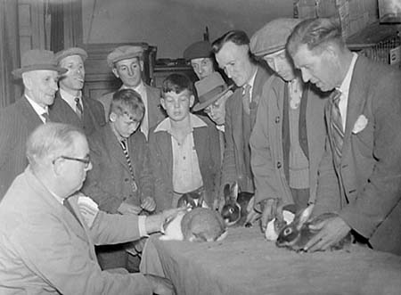 1947 Rabbit Show 07