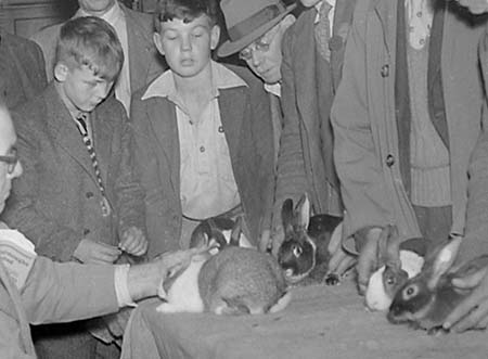 1947 Rabbit Show 08
