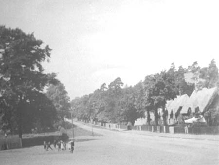  Woburn Rd c1900.4386