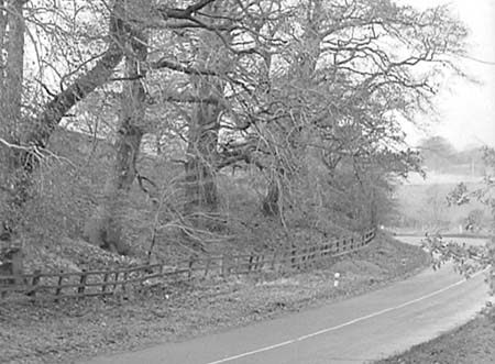 Woburn Rd. 1955 02