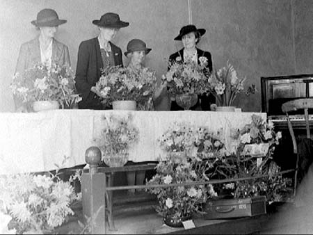 Flower Show 1942.2056