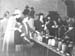 Flower Show 1942.2274
