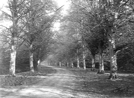  e1900s Grounds 03