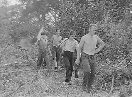 1943 Forestry 01