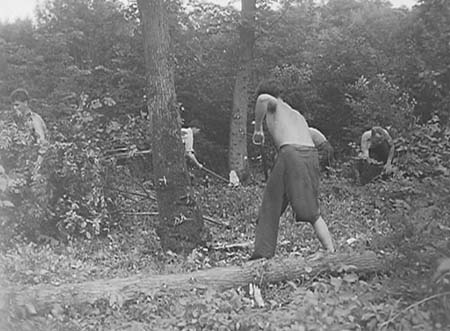 1943 Forestry 06