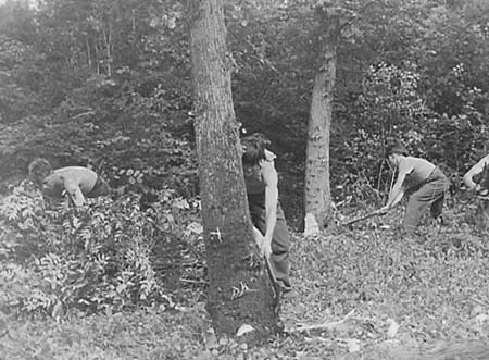 1943 Forestry 07