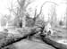  e1900s Storm Damage 03