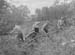 1943 Forestry 04