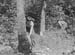 1943 Forestry 08