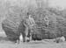 1945 Giant Tree 08