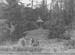 1946 New College 05