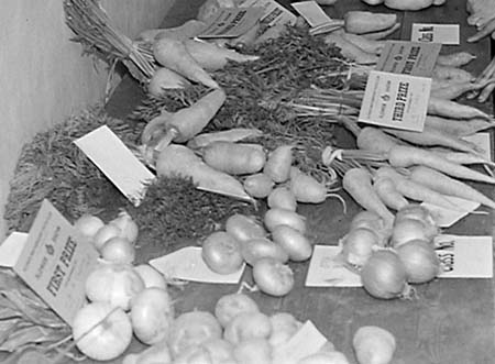 1947 Youth Club 05