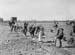 1942 Boy Gardeners 04